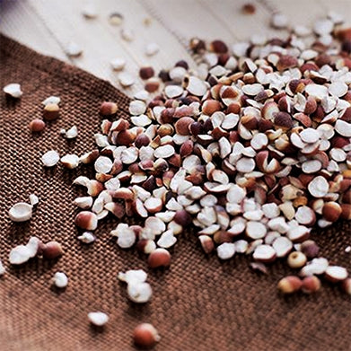 Grains & Instant 穀物/沖泡飲品