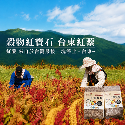 #6325 紅藜小米起司棒 Taiwan Red Quinoa Millet Cheese Sticks (朱德利斯) 63 g