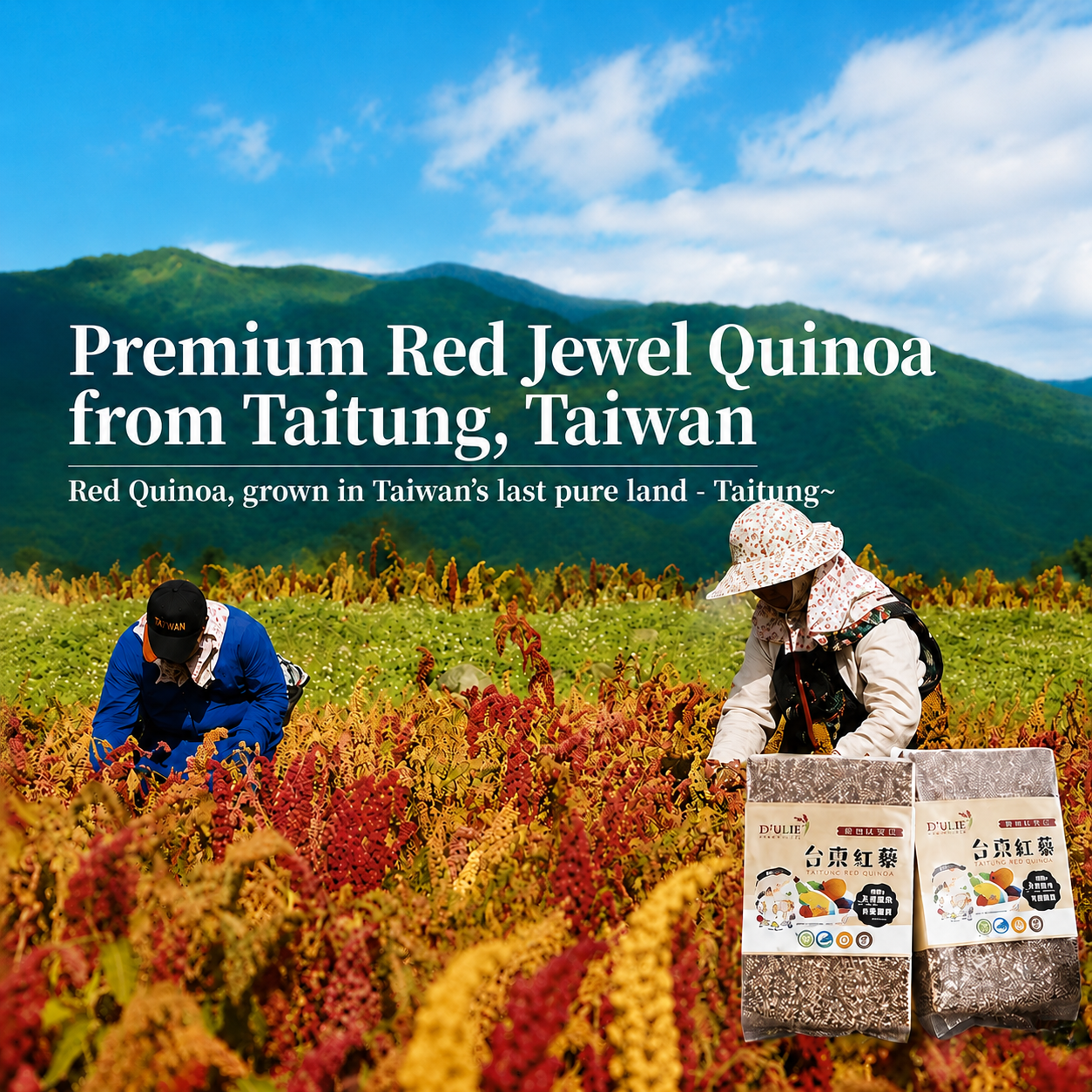 #6325 紅藜小米起司棒 Taiwan Red Quinoa Millet Cheese Sticks (朱德利斯) 63 g