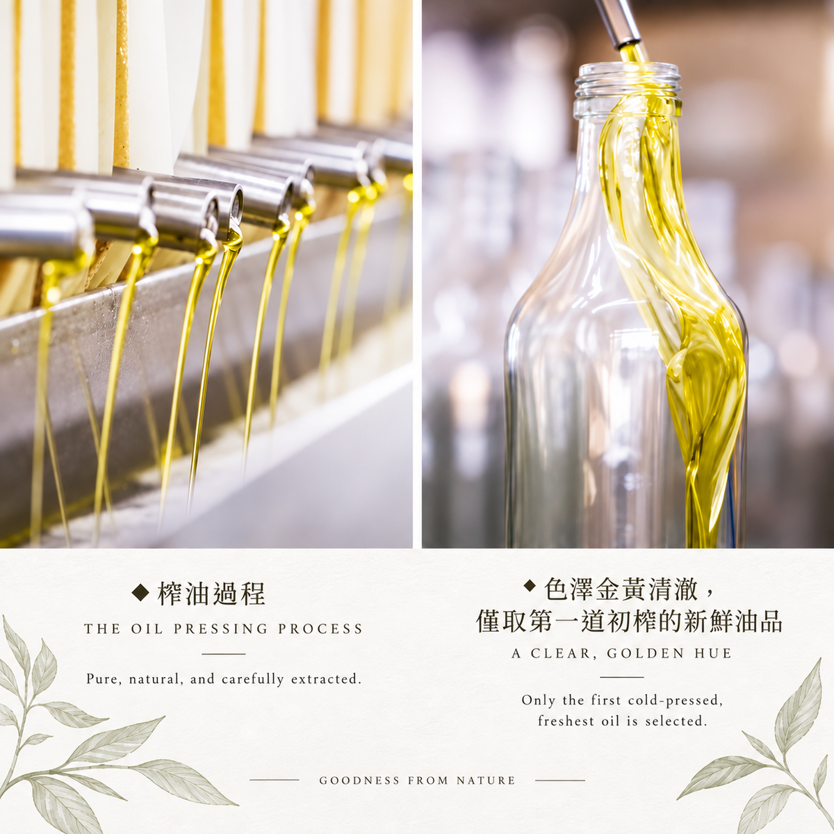 #5606 紫蘇籽油 Perilla Seed Oil (里仁) 300 ml