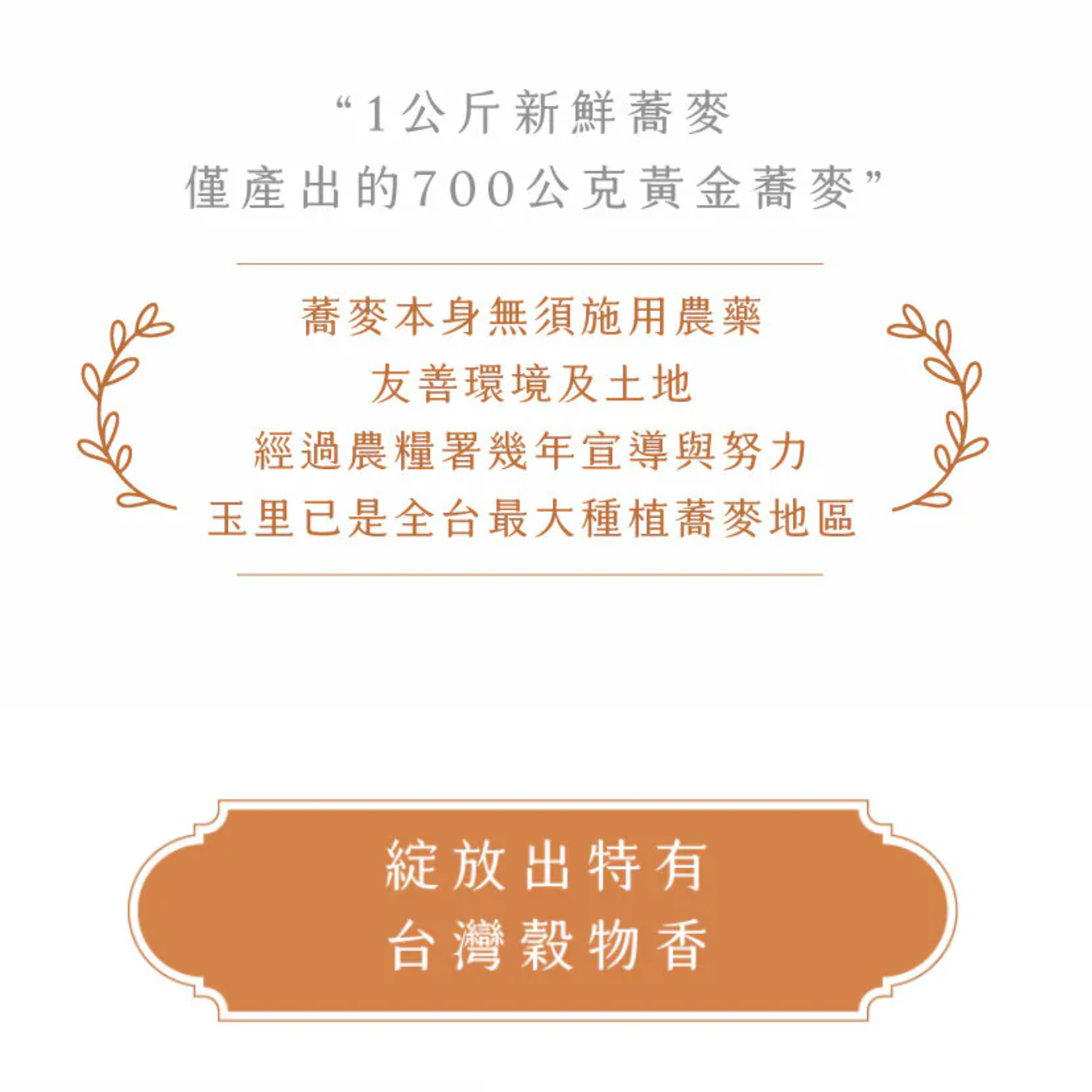 #6340 豐穀蕎麥茶 Buckwheat Tea with Brown Rice (宣洋) 90 g (6 g × 15 pk)