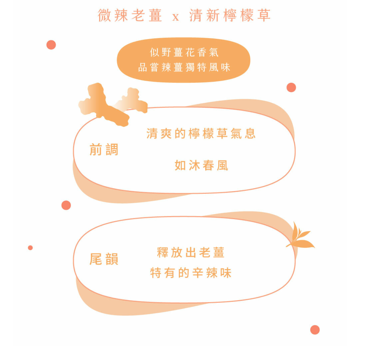 #6519 檸香薑茶 Ginger Tea with Lemongrass (宣洋) 45 g (3 g × 15 pk)