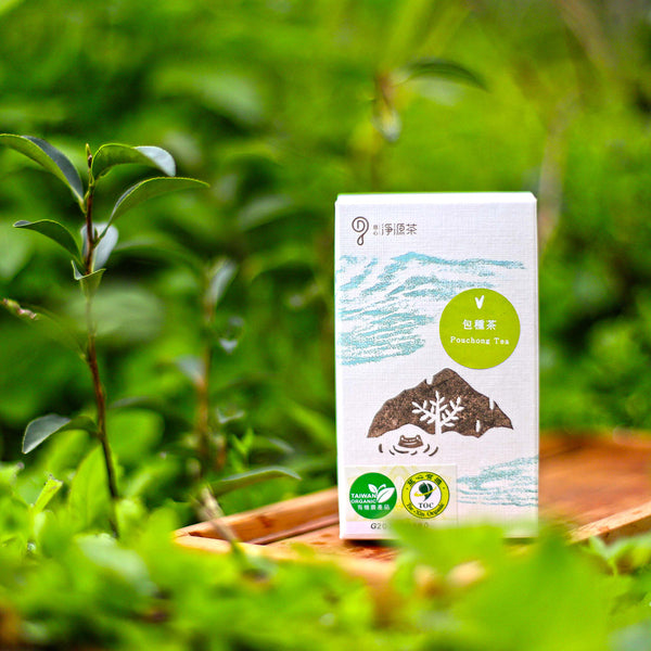 #6023 精選包種茶 Choice Pouchong Tea (淨源) 30g, 20/cs