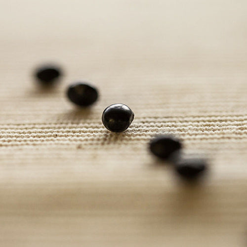 #3872 有機青仁黑豆[簡單生活] Organic Black Soybeans (里仁) 500 g, 24/cs