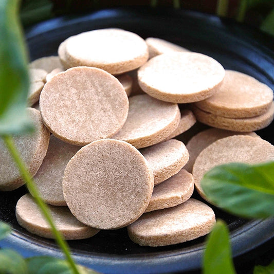 #4766 梅子仙楂果 Plum Hawthorn Round Piece (里仁) 130g, 36/cs